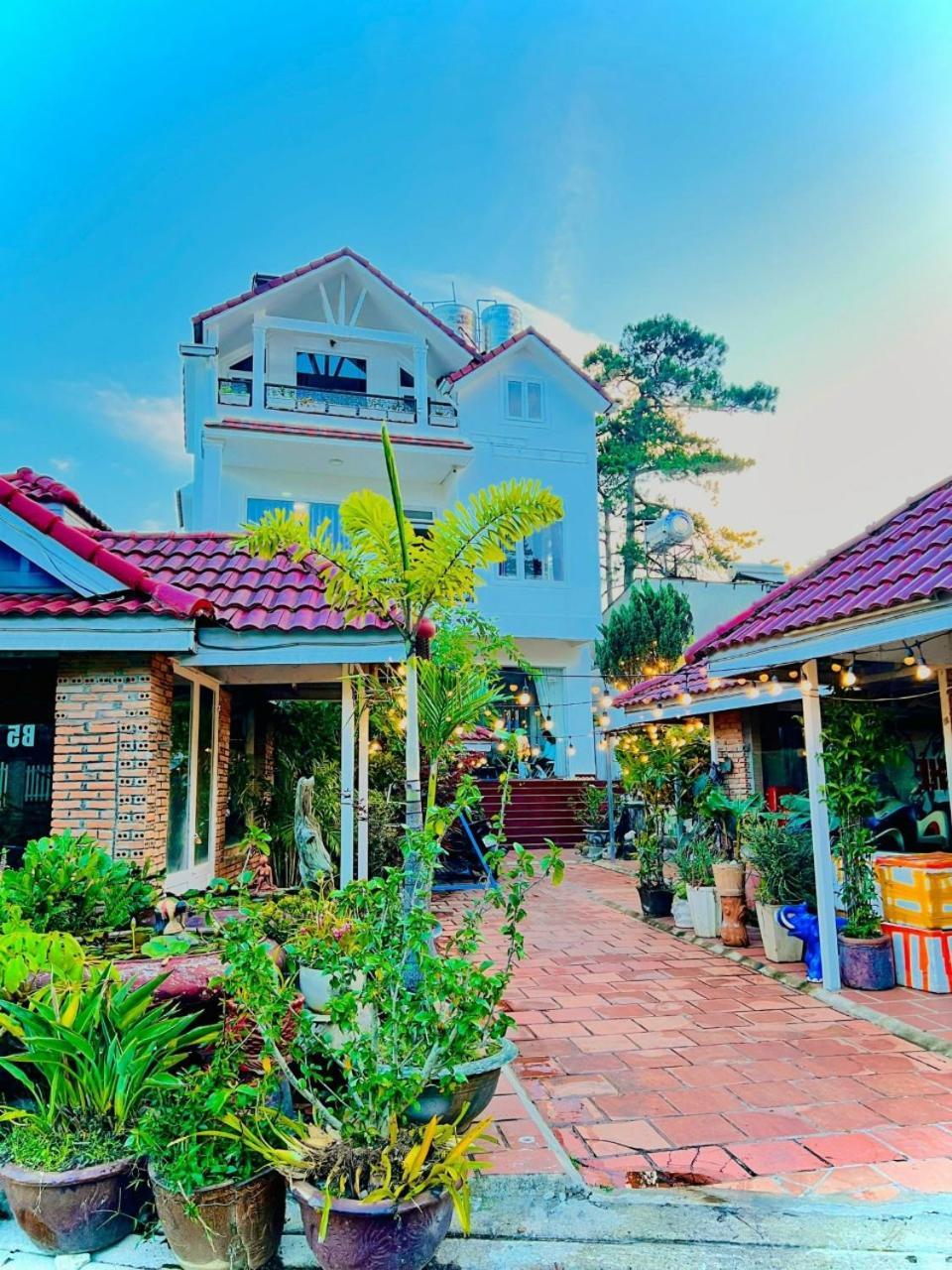 Hoa Chuong - Villa - Homestay ดาลัด ภายนอก รูปภาพ