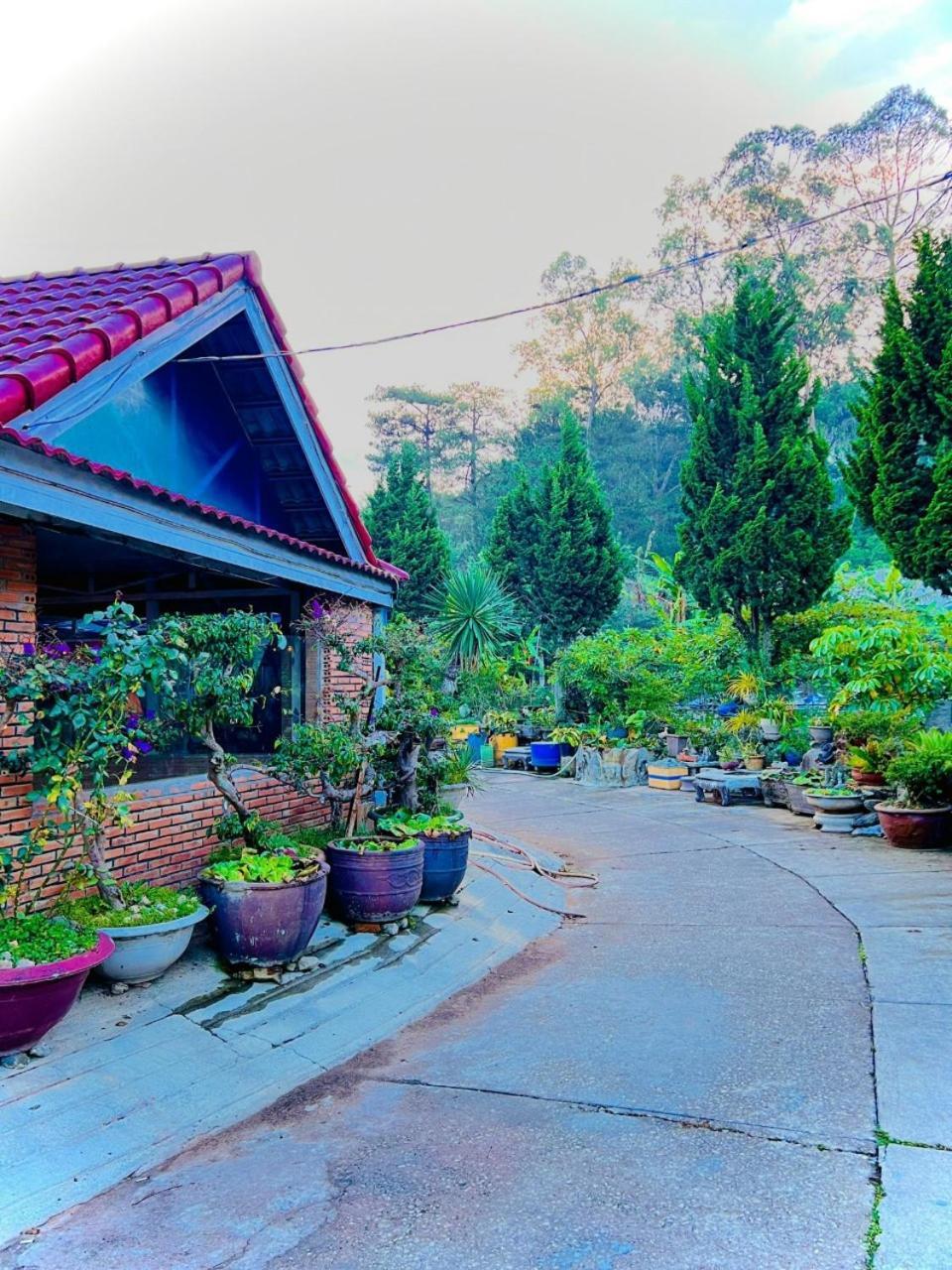 Hoa Chuong - Villa - Homestay ดาลัด ภายนอก รูปภาพ